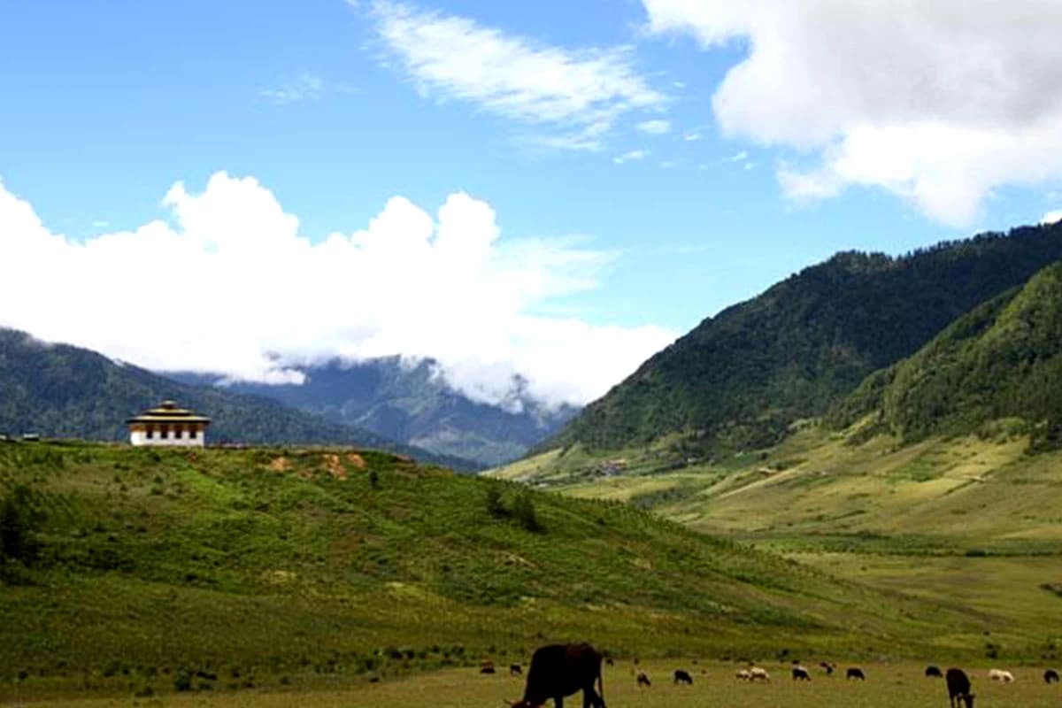 Bhutan Gangtey Trek