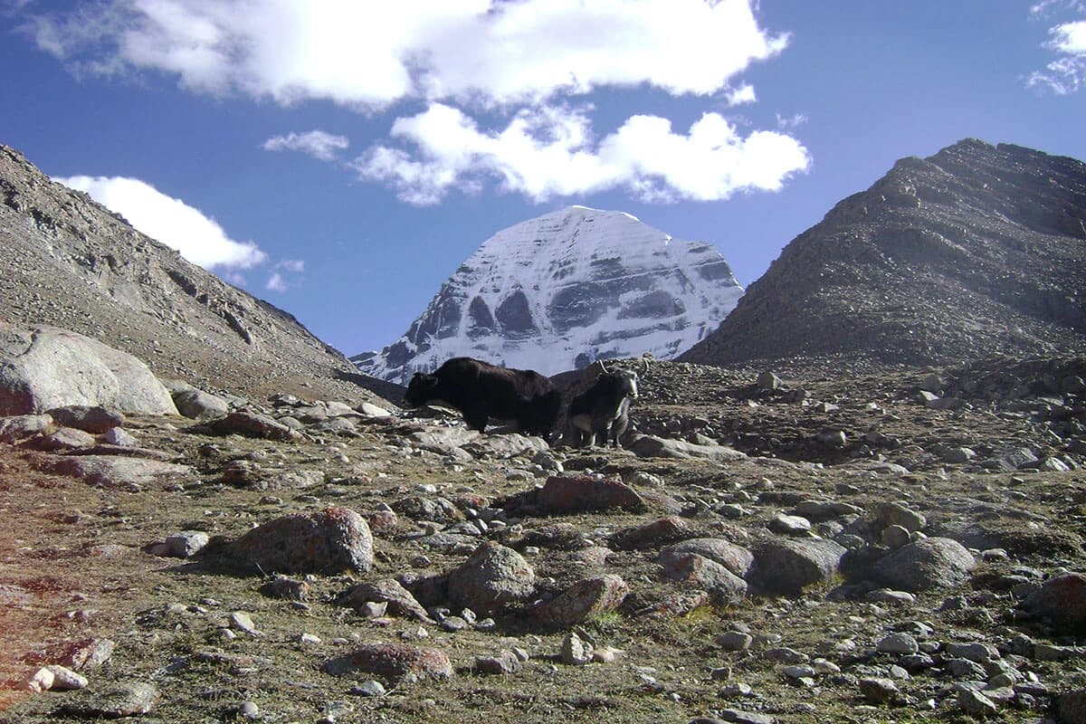 Mount Kailash Mansarovar Tour- 16 Days