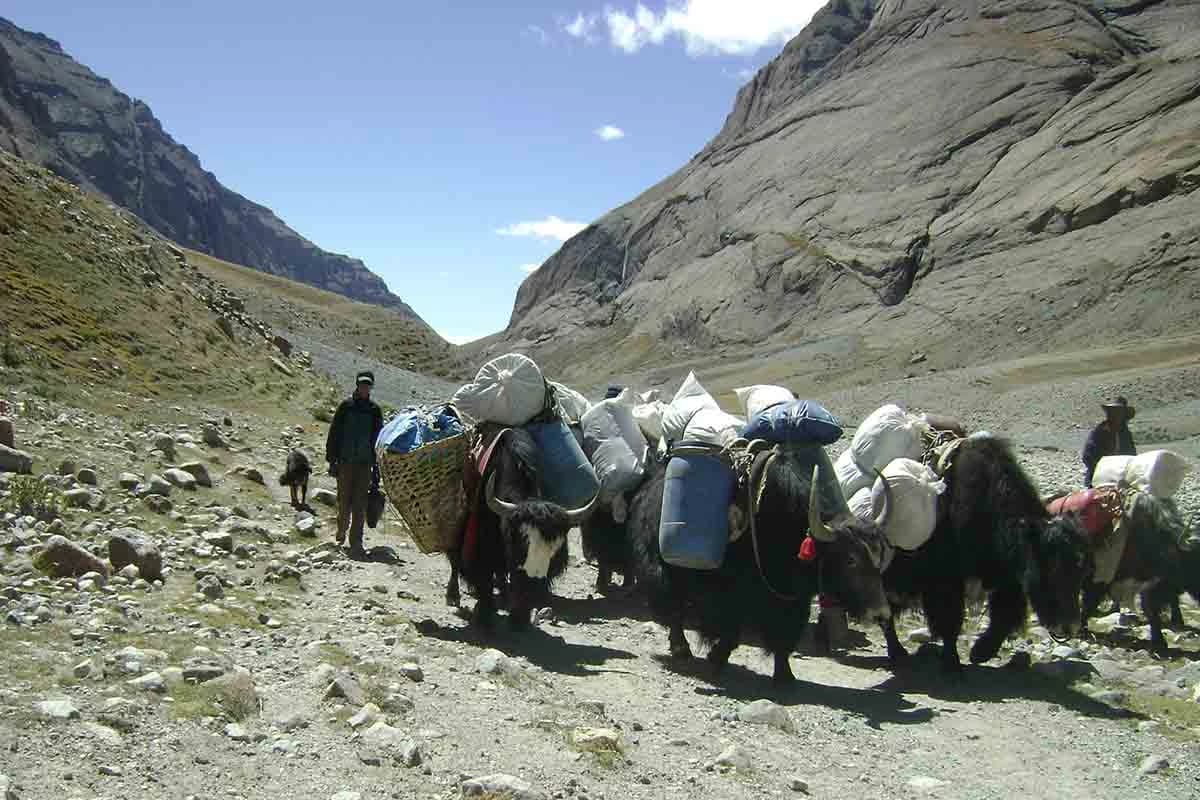 mt-kailash-yatra-with-muktinath