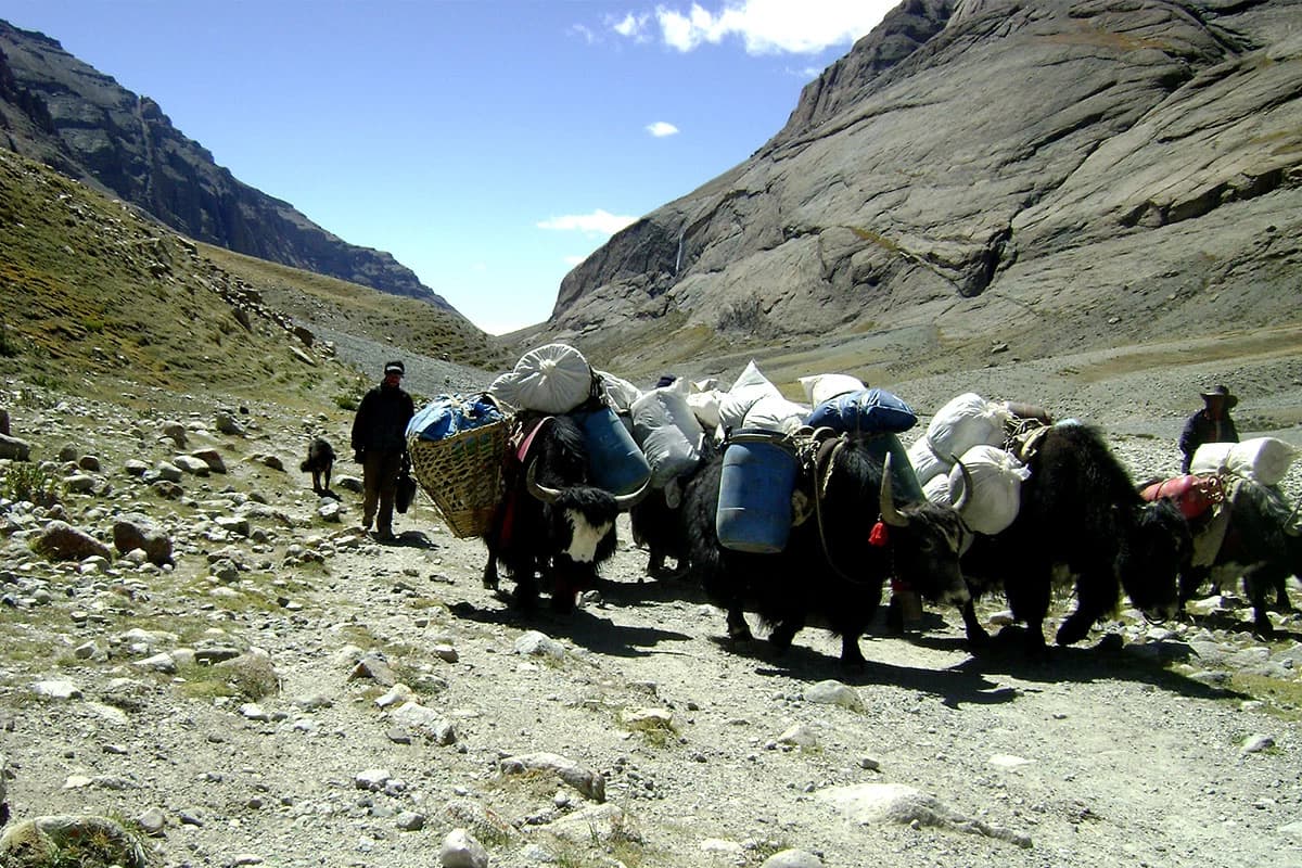 Mt. Kailash Tour Via Simikot