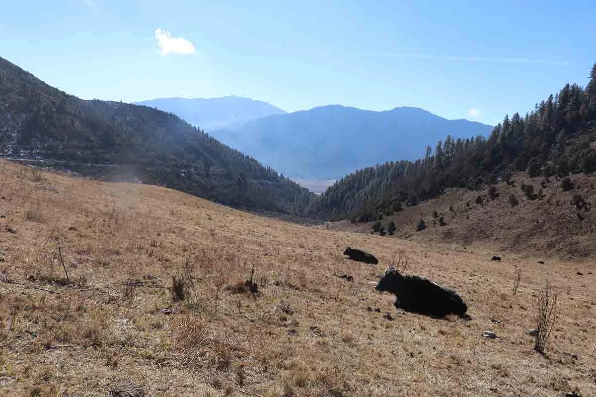 Sagala Trek- Bhutan Trek