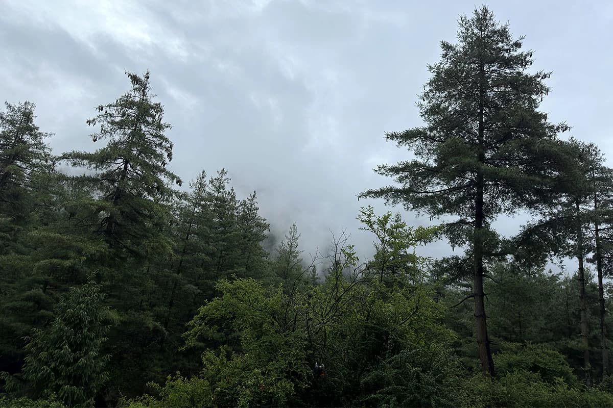 Simikot to Mt. Kailash via Limi valley