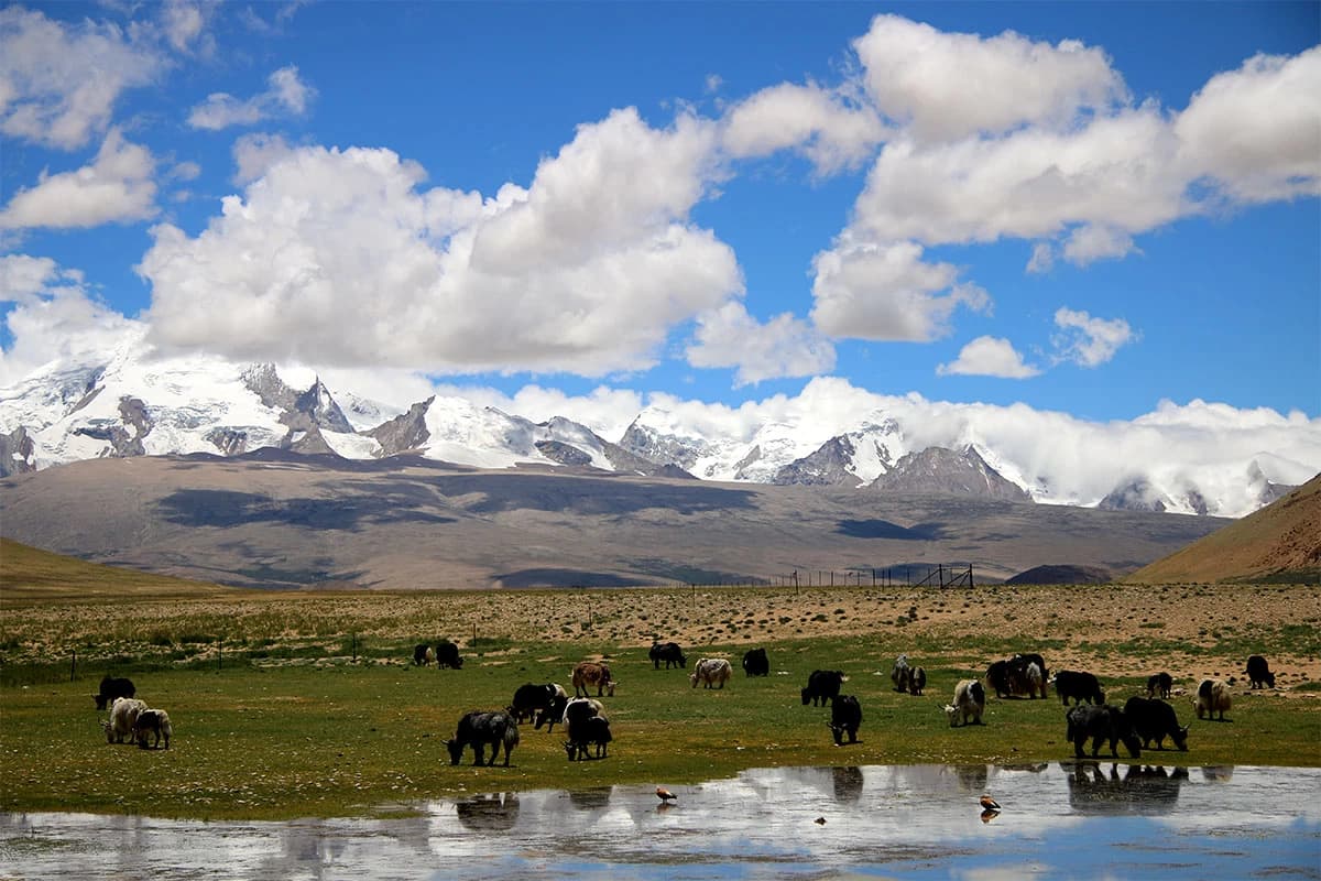 Tibet Motor Bike tour