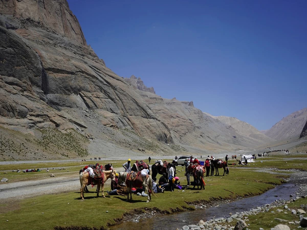 Horses For Kailash