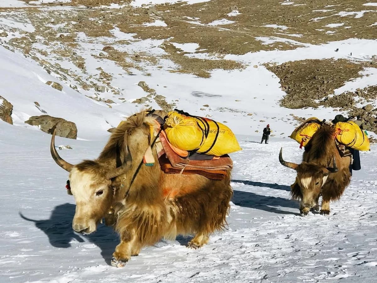 Kailash Yatra Kora Drolma La Crossing