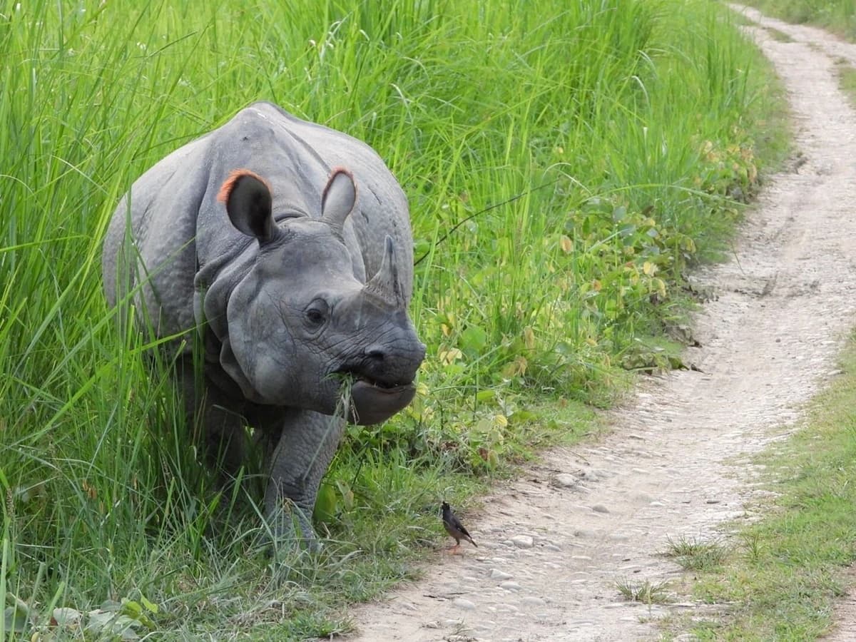 Multi Country Himalayan Adventure