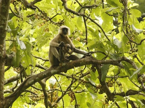 Combined Nepal Tibet Bhutan Tour