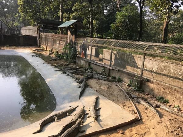 Gavial Breeding Center