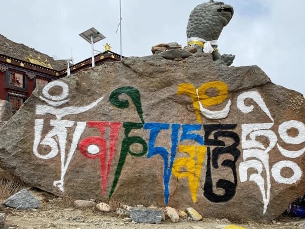 Kailash Yatra Yaks Lake Manasarovar