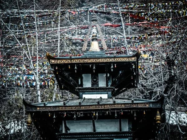 Lord Muktinath Darshan