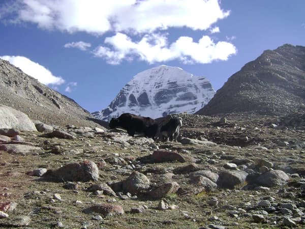 Mount Kailash Manasarover Tour