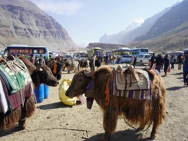 Mount Kailash Overland