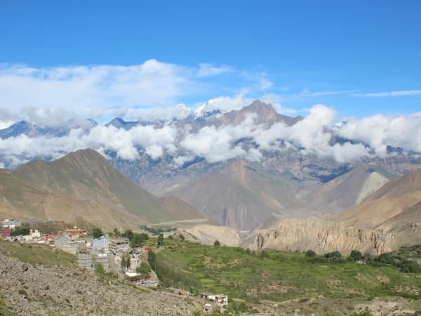 Natural View