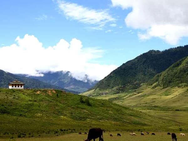 Bhutan Gangtey Trek