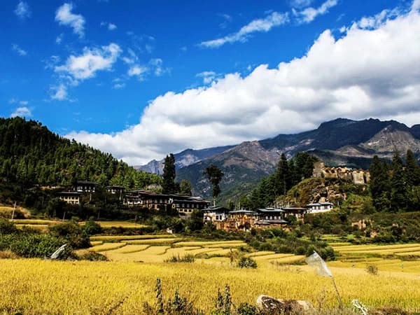 Jhomolhari Trek