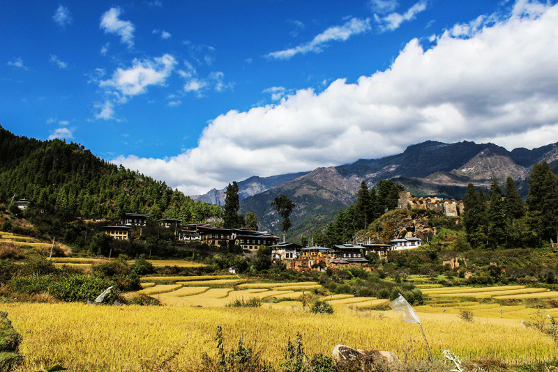 Bhutan Jhomolhari Trek